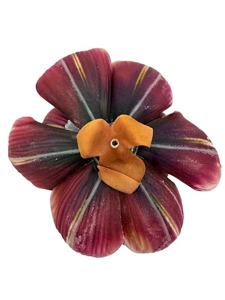 Magnolia piankowa główka 15 cm bordowa