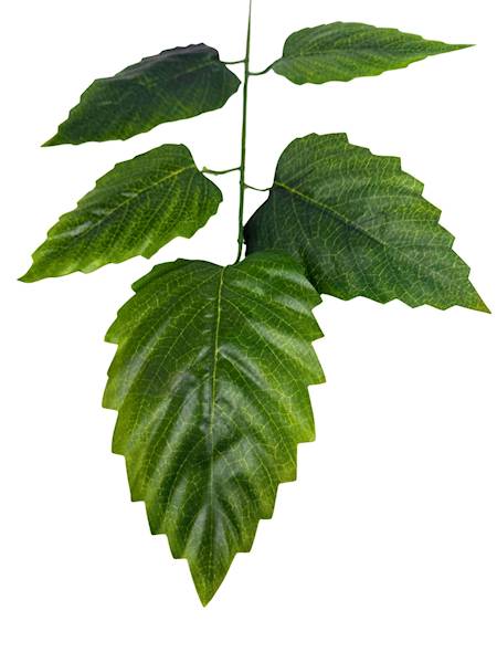 Liść gałązka 55 cm zielony