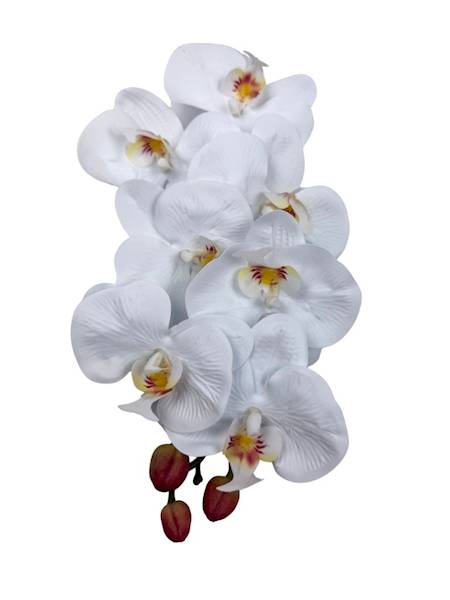 Storczyk silikonowy gałązka 100 cm biały