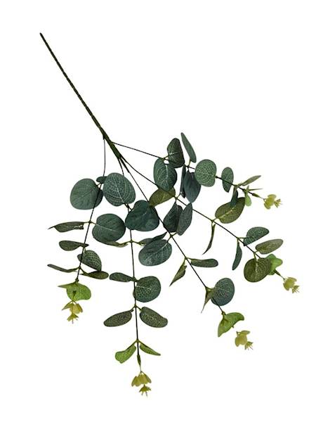 Eukaliptus gałązka 58 cm