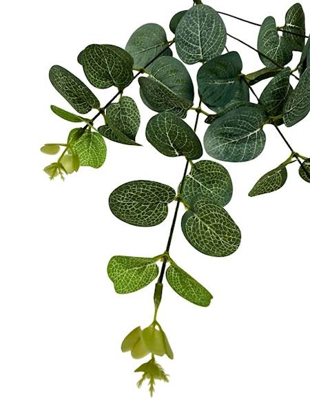 Eukaliptus gałązka 58 cm