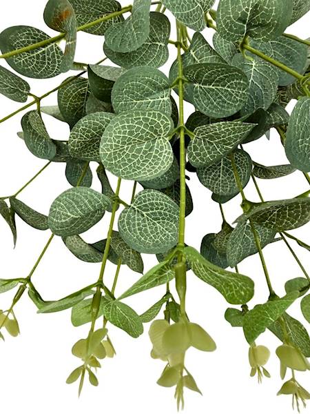 Eukaliptus bukiet 47 cm