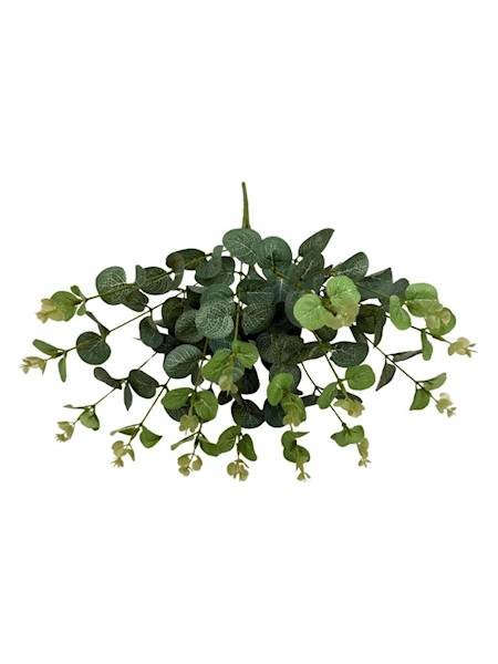Eukaliptus bukiet 47 cm