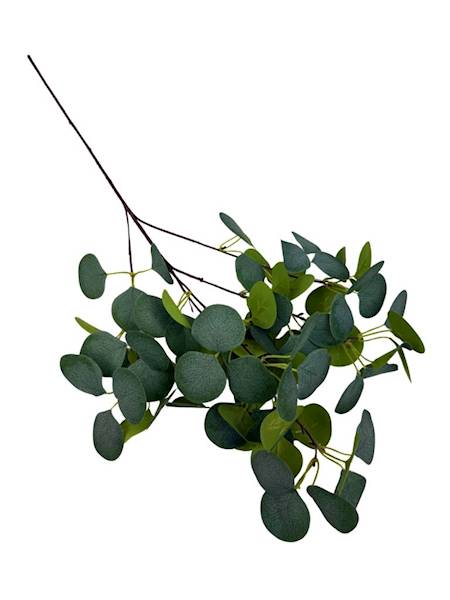 Eukaliptus gałązka 90 cm