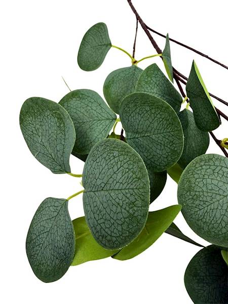 Eukaliptus gałązka 90 cm