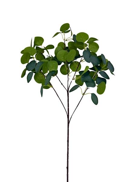 Eukaliptus gałązka 90 cm