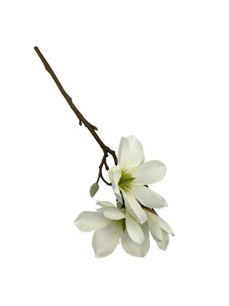 Magnolia gałązka 40 cm biała