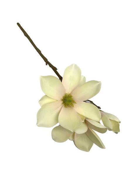 Magnolia gałązka 40 cm waniliowa