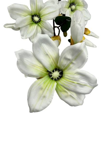 Magnolia gałązka 92 cm biało zielona