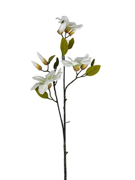 Magnolia gałązka 92 cm biało zielona