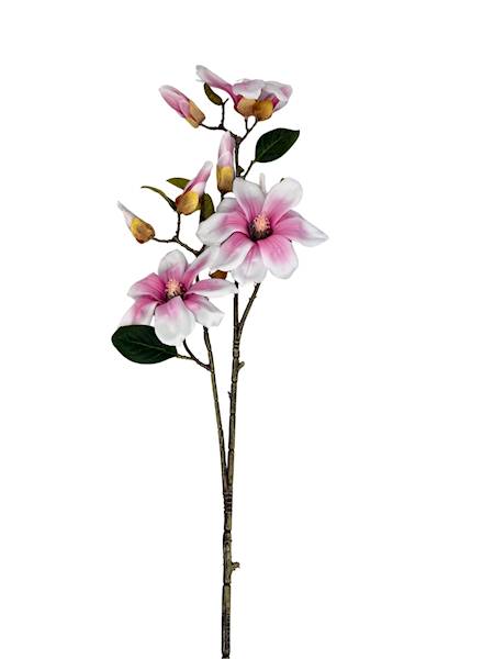 Magnolia gałązka 92 cm biało różowa