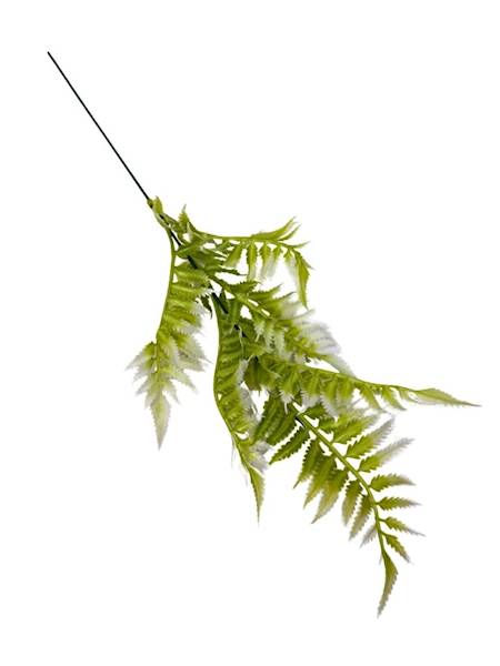 Paproć gałązka 43 cm biało zielona