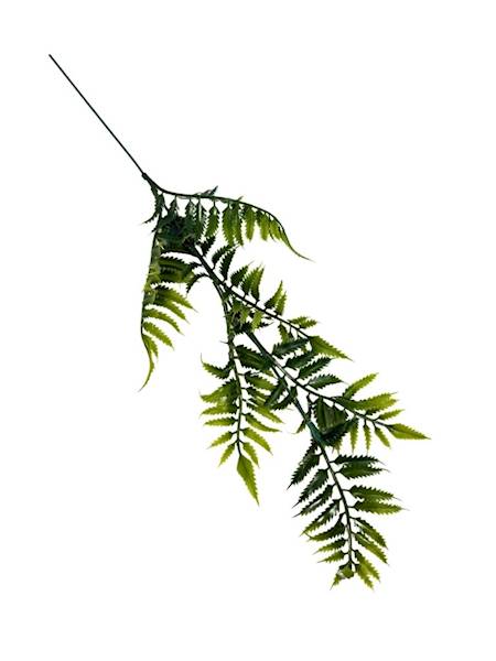 Paproć gałązka 43 cm zielona