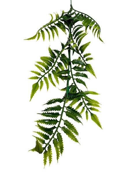 Paproć gałązka 43 cm zielona