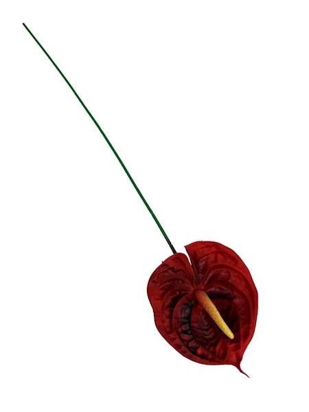 Anturium silikonowe gałązka 75 cm czerwone