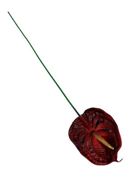 Anturium silikonowe gałązka 75 cm bordo