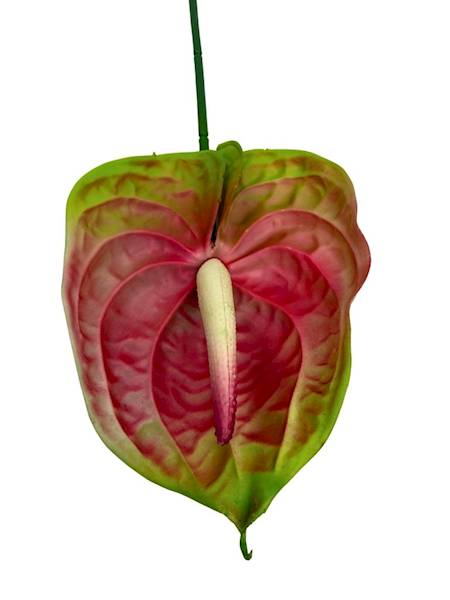 Anturium silikonowe gałązka 75 cm różowo zielone