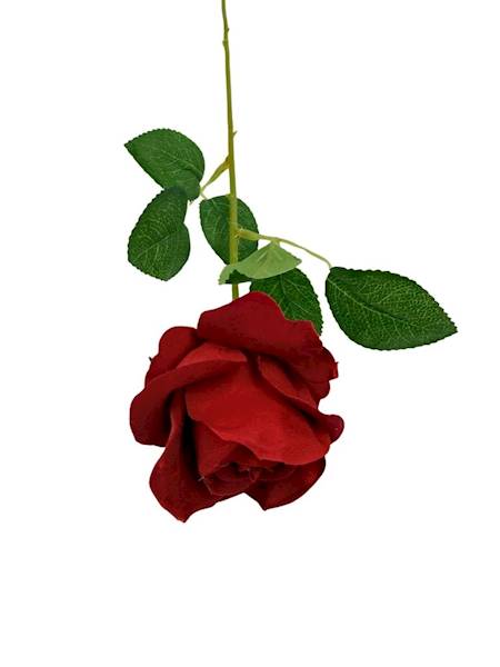 Róża welurowa gałazka 50 cm