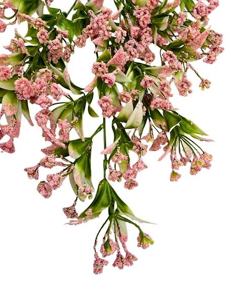 Gałązka kuleczki 80 cm pudrowy róż