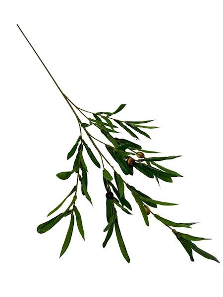 Oliwka gałązka oliwna 92 cm