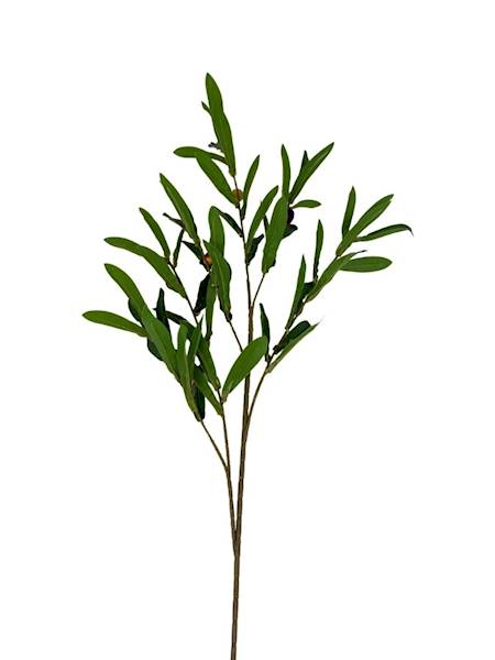 Oliwka gałązka oliwna 92 cm