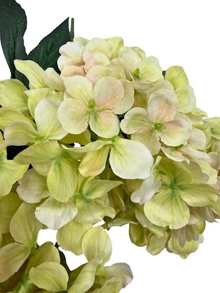 Hortensja bukiet 40 cm jasno zielony