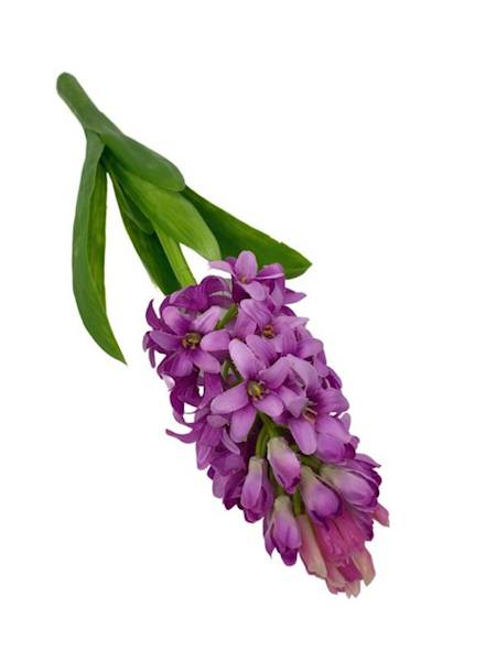 Hiacynt 40 cm różowy