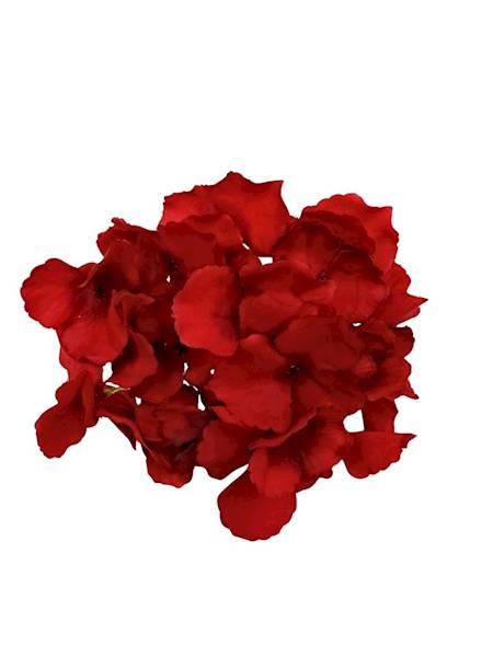 Hortensja główka 15 cm czerwona