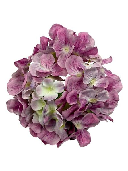Hortensja główka 20 cm jasny fiolet