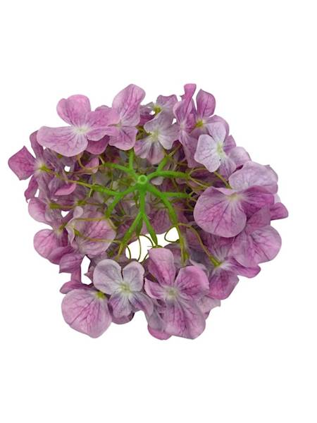 Hortensja główka 20 cm jasny fiolet