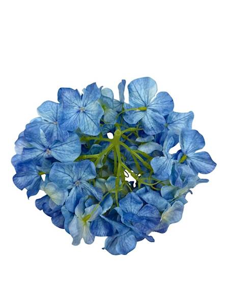 Hortensja główka 20 cm niebieska