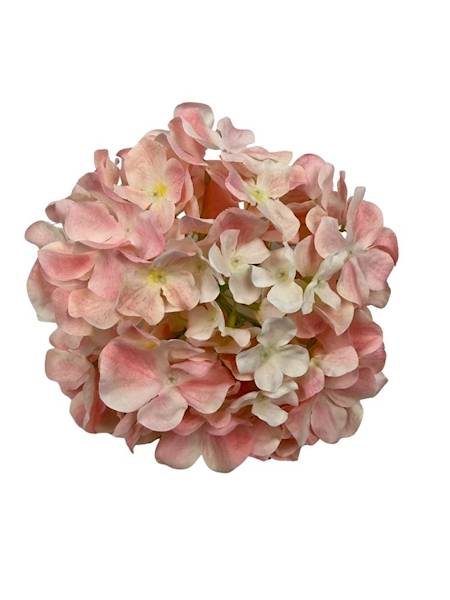 Hortensja główka 20 cm jasny pudrowy róż