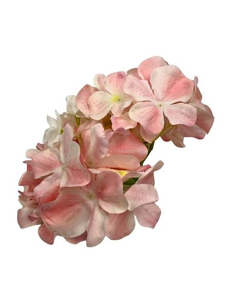 Hortensja główka 20 cm jasny pudrowy róż