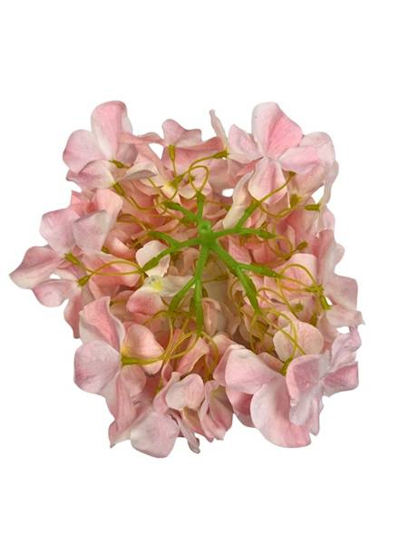 Hortensja główka 20 cm jasny pudrowy róż