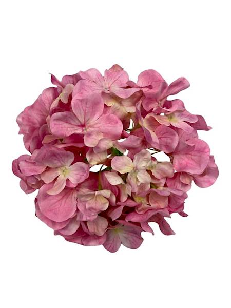 Hortensja główka 20 cm różowa