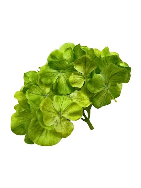 Hortensja główka 20 cm zielona