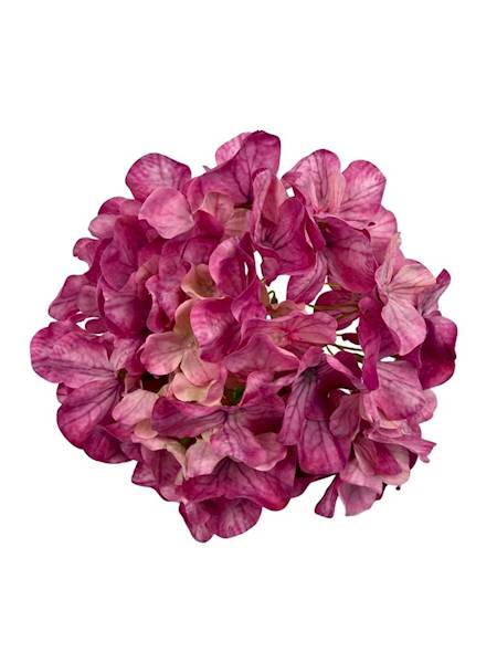 Hortensja główka 20 cm ciemny róż