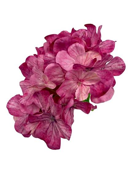 Hortensja główka 20 cm ciemny róż