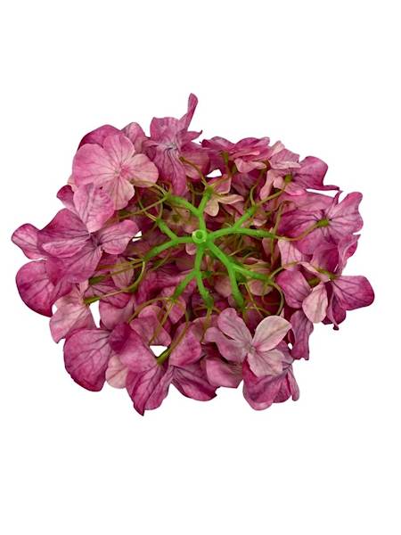 Hortensja główka 20 cm ciemny róż