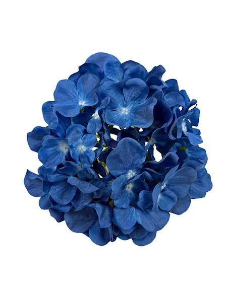 Hortensja główka 20 cm ciemny niebieski