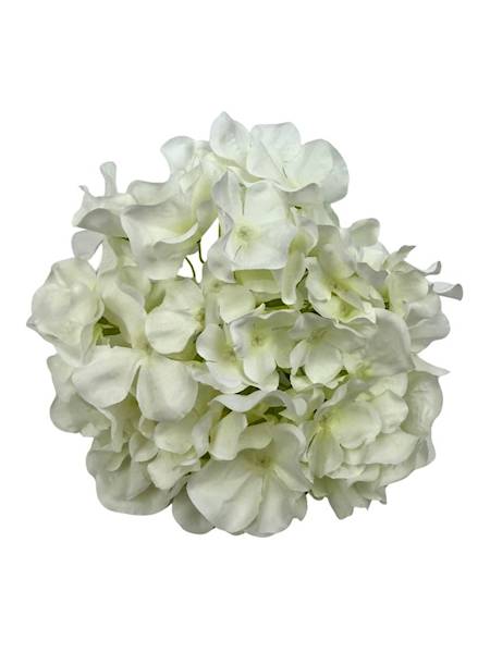 Hortensja główka 20 cm biała / jasno kremowa