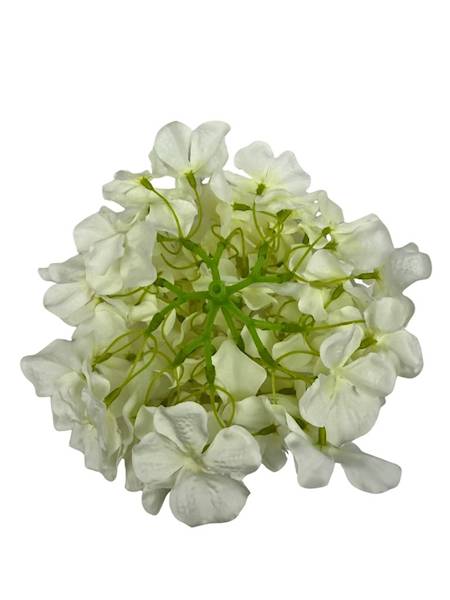 Hortensja główka 20 cm biała / jasno kremowa