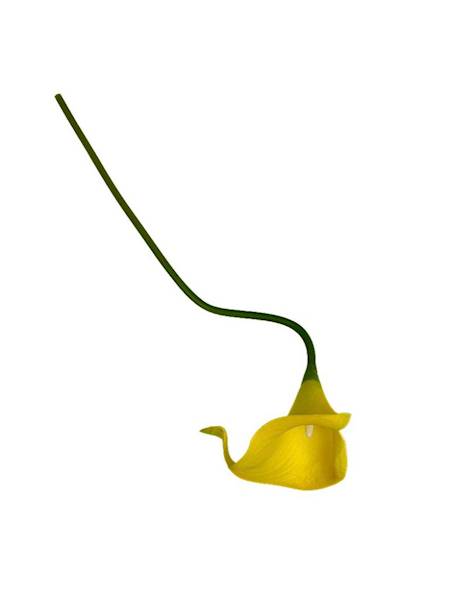 Kantadeska kalia gałązka 33 cm żółta