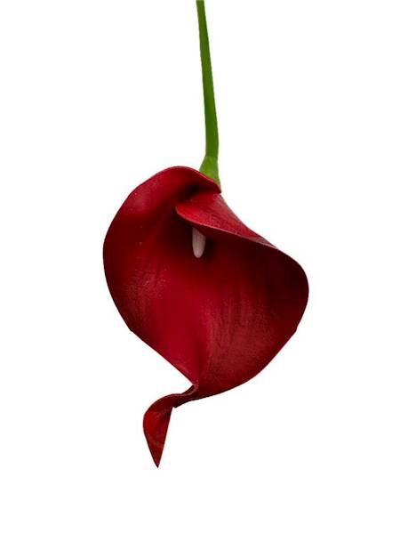 Kantadeska kalia gałązka 33 cm czerwona