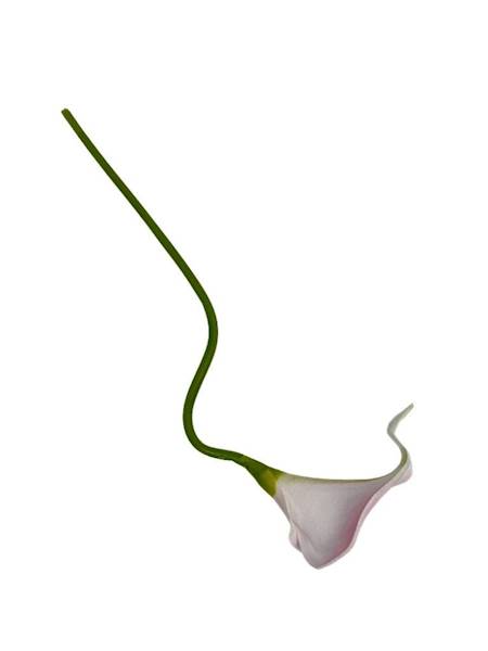 Kantadeska kalia gałązka 33 cm delikatny róż