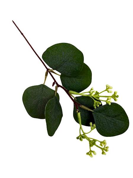 Eukaliptus gałązka dodatek 27 cm