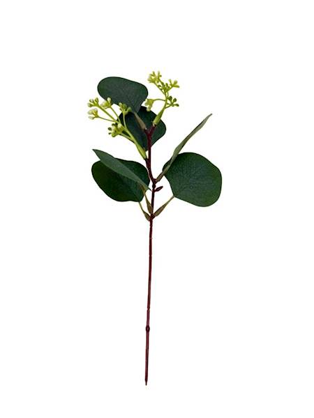 Eukaliptus gałązka dodatek 27 cm