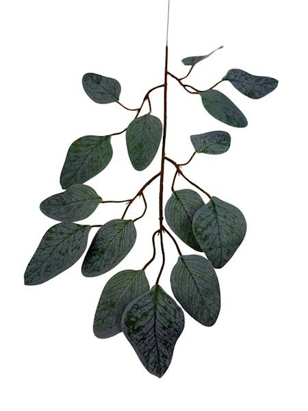 Liść gałązka 50 cm