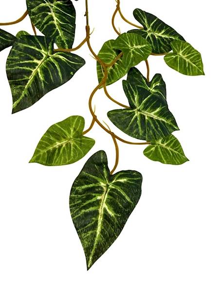 Liść gałazka 50 cm