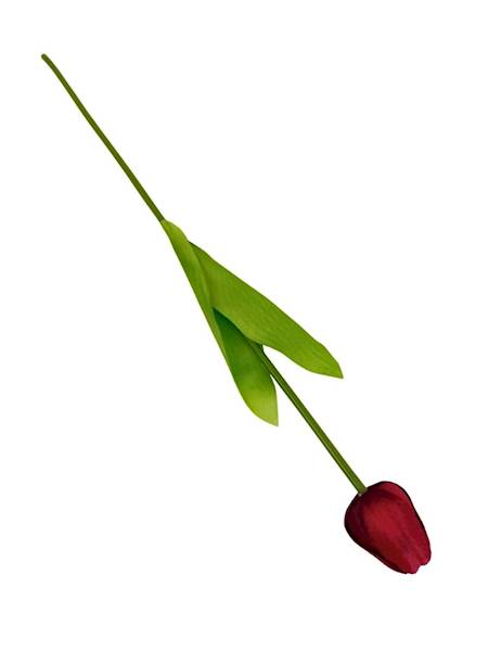 Tulipan gałązka 49 cm czerwony